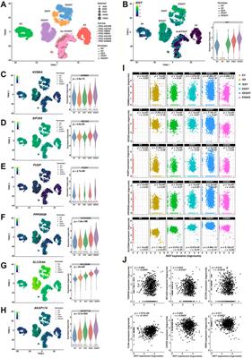 Pseudoautosomal Region 1 Overdosage Affects the Global Transcriptome in iPSCs From Patients With Klinefelter Syndrome and High-Grade X Chromosome Aneuploidies